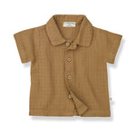 1+ in the Family David Shortsleeve Top - Biscotto