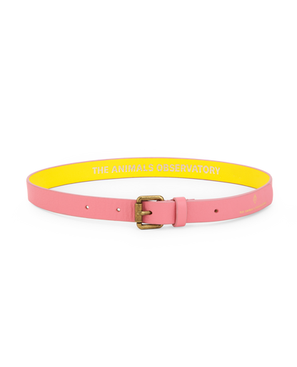 The Animals Observatory Ibis Kids Belt - Pink