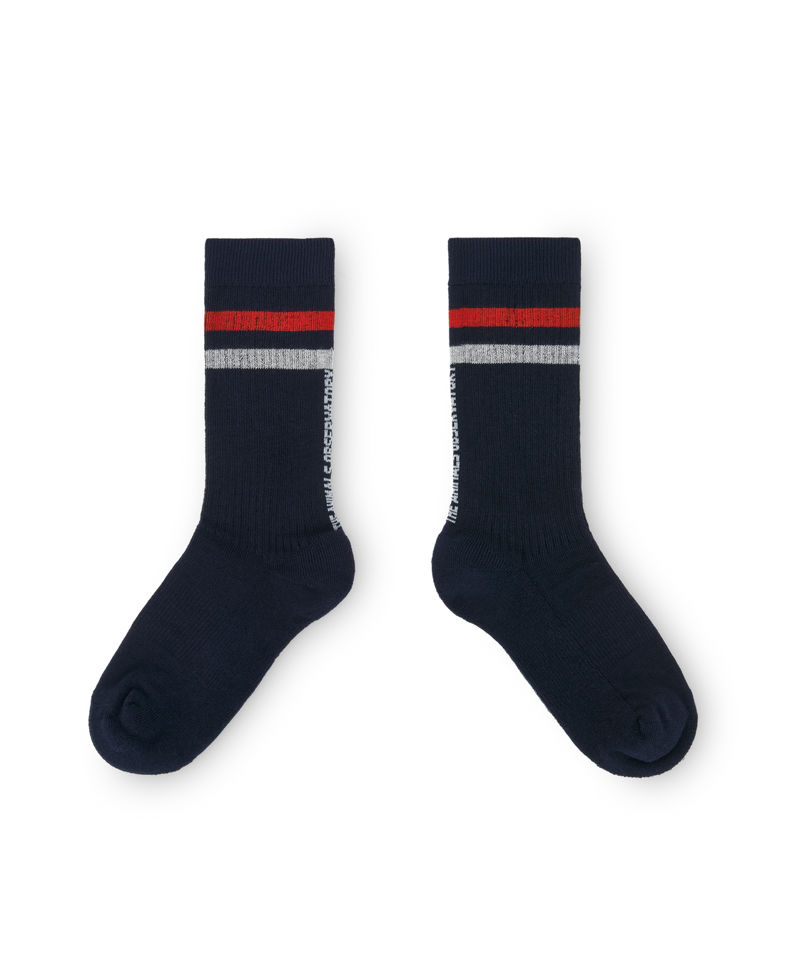 The Animals Observatory Skunk Kid Socks - 064