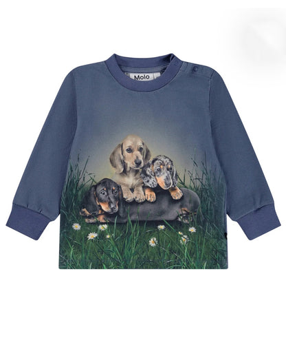 Molo Eloy Long Sleeve T-shirt - Dachshund Cubs