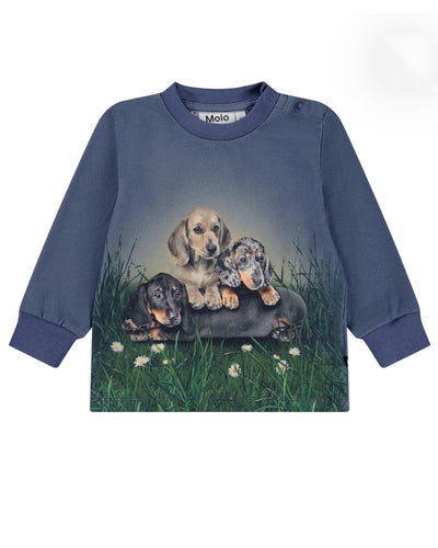 Molo Eloy Long Sleeve T-shirt - Dachshund Cubs