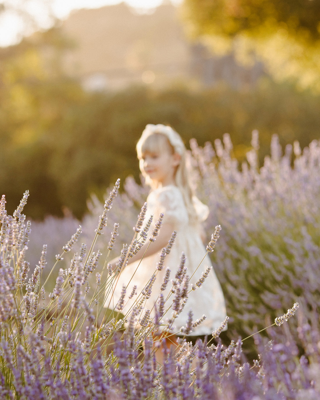 Noralee Luna Dress - Butterfly