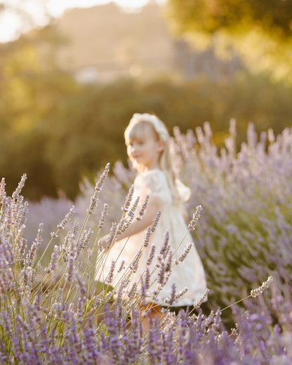 Noralee Luna Dress - Butterfly