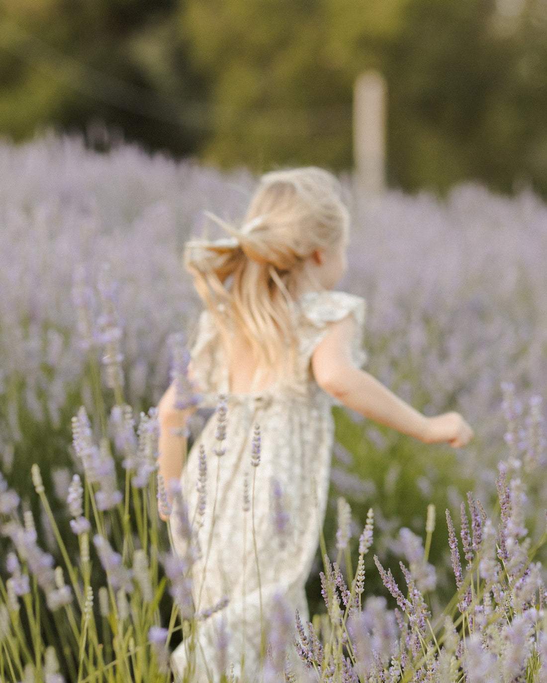 Noralee Lucy Dress - Sage Hydrangea