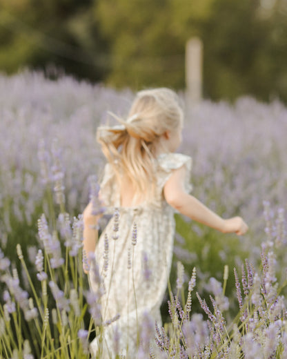 Noralee Lucy Dress - Sage Hydrangea