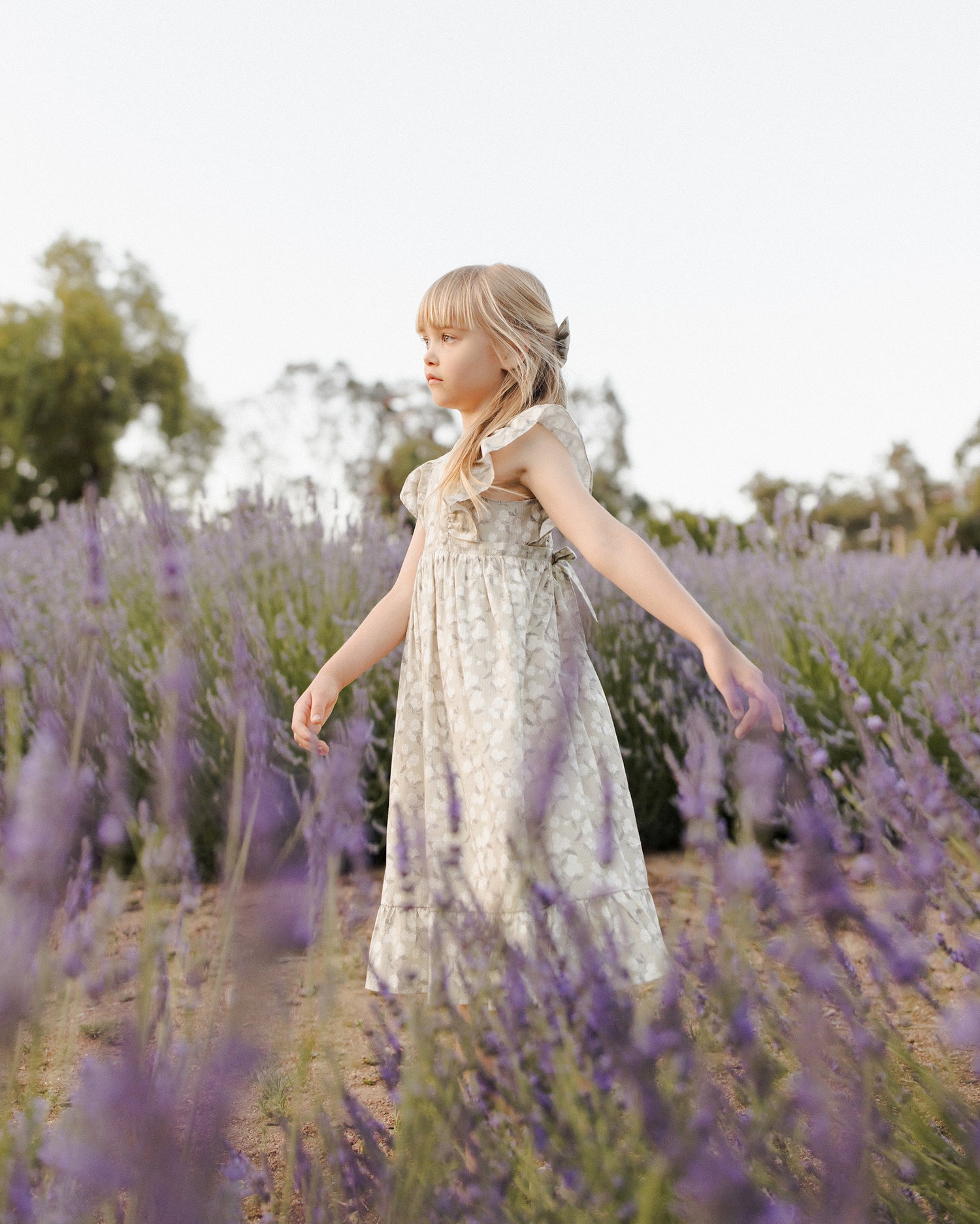 Noralee Lucy Dress - Sage Hydrangea