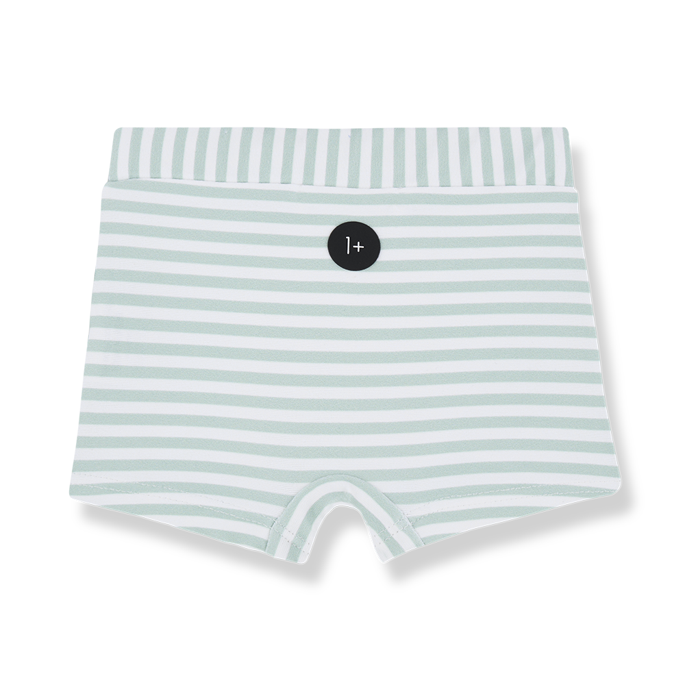 1 + In The Family Milo Swim Boxer - Subtle-green