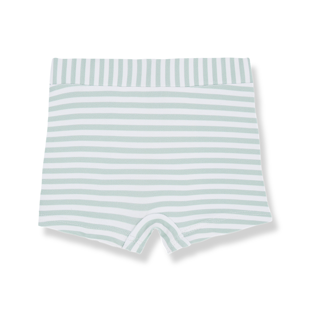1 + In The Family Milo Swim Boxer - Subtle-green