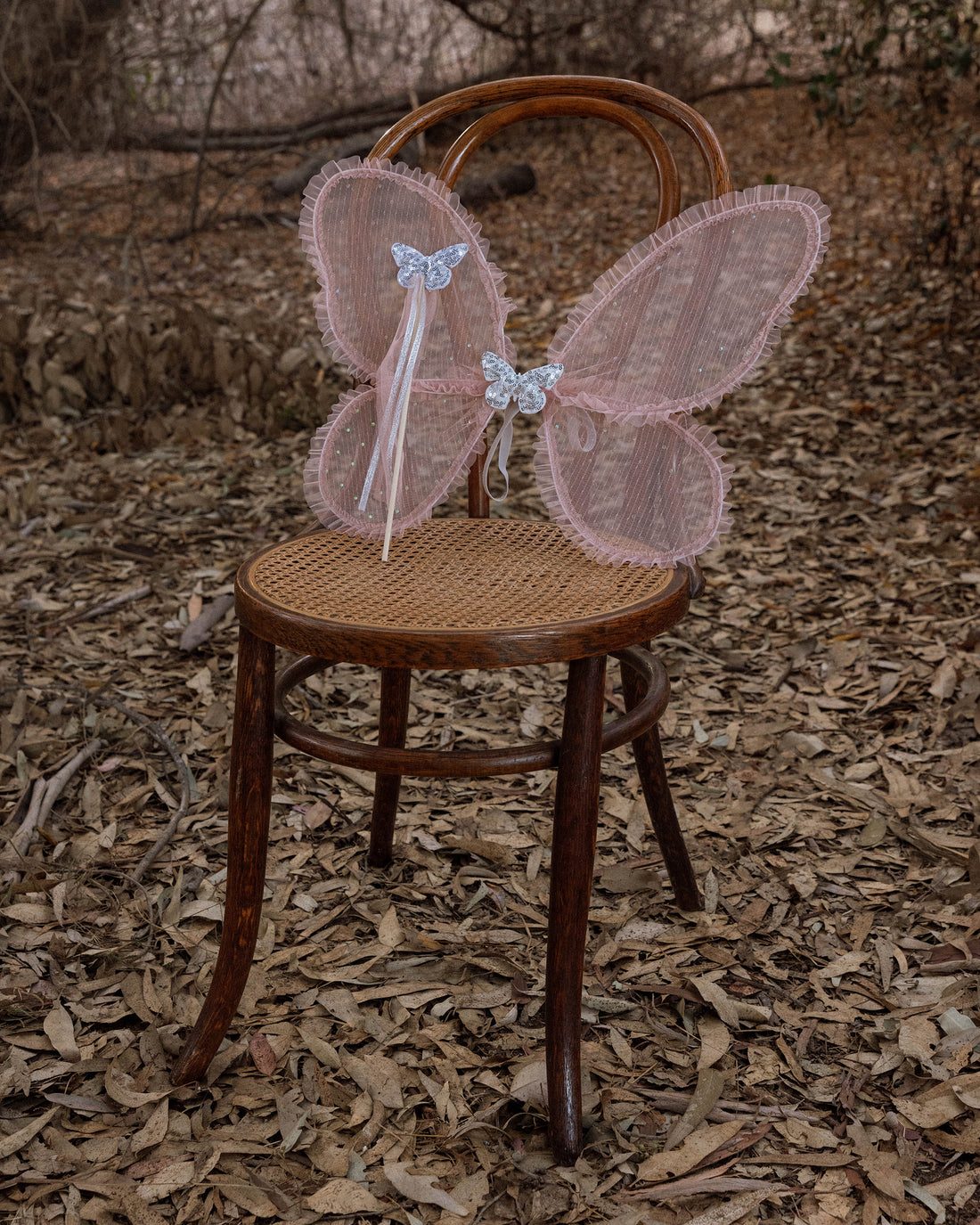 Noralee Wings - Rose Embroidered Daisy