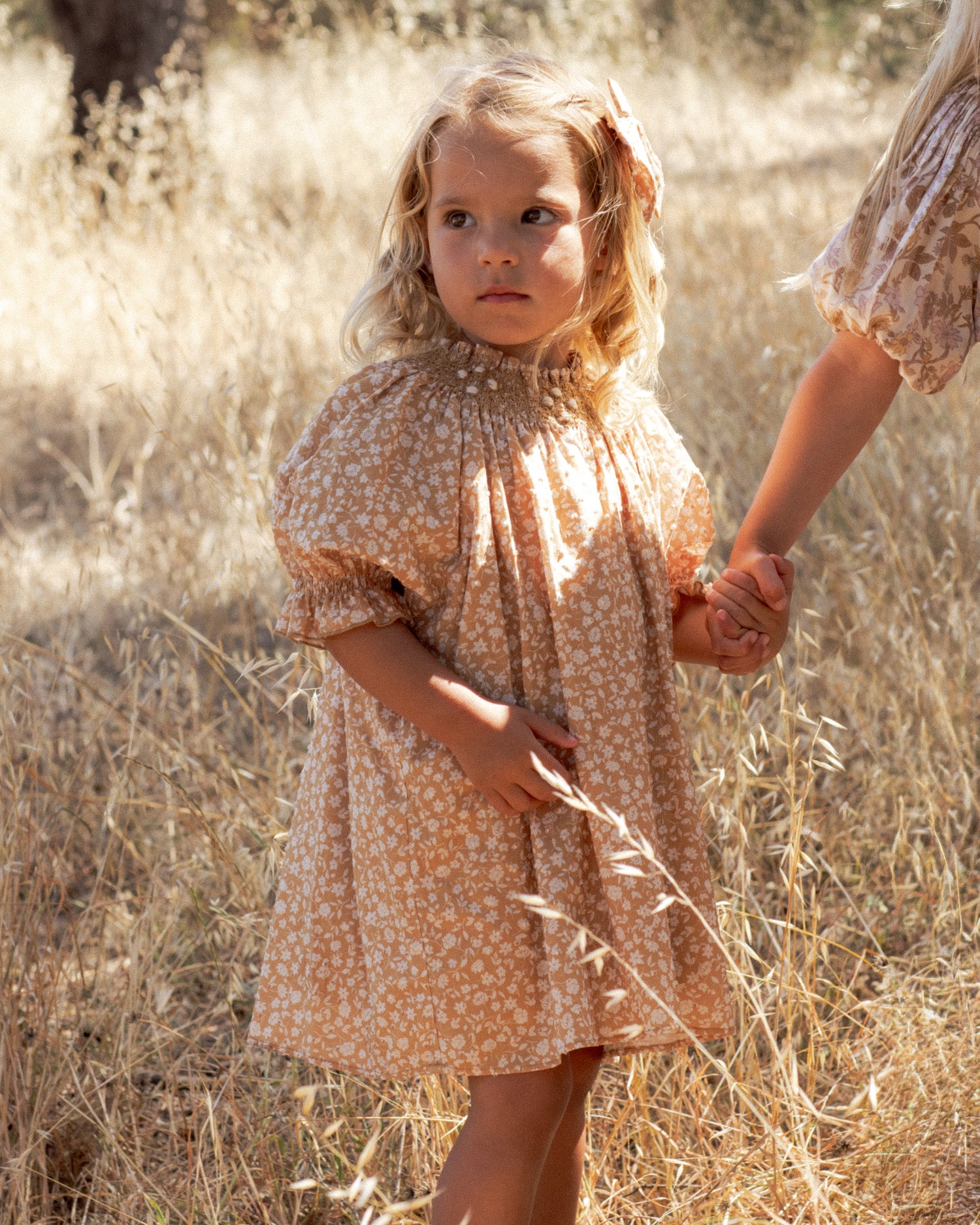 Noralee Maddie Dress - Golden Meadow