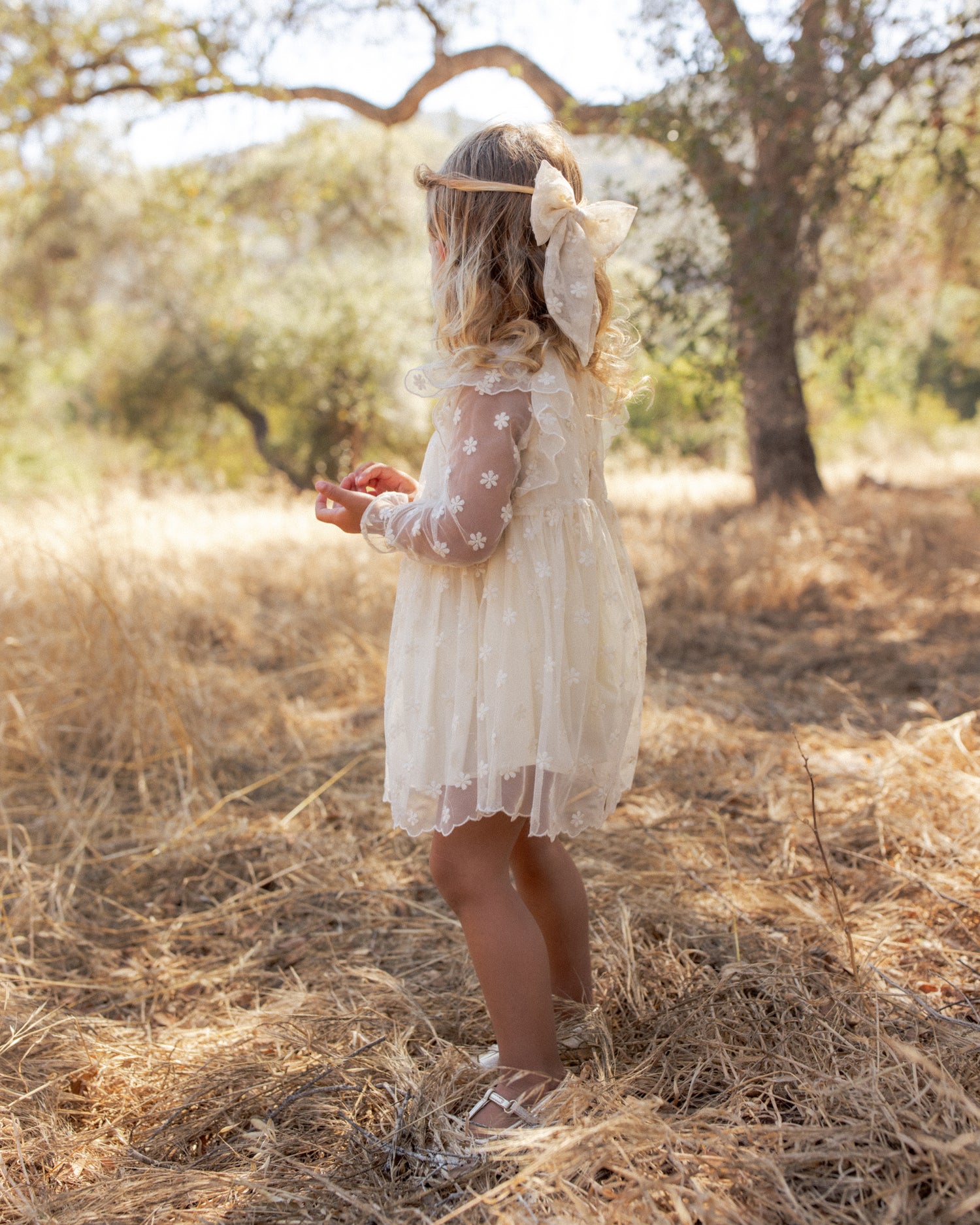 Noralee Celine Dress - Embroidered Daisy