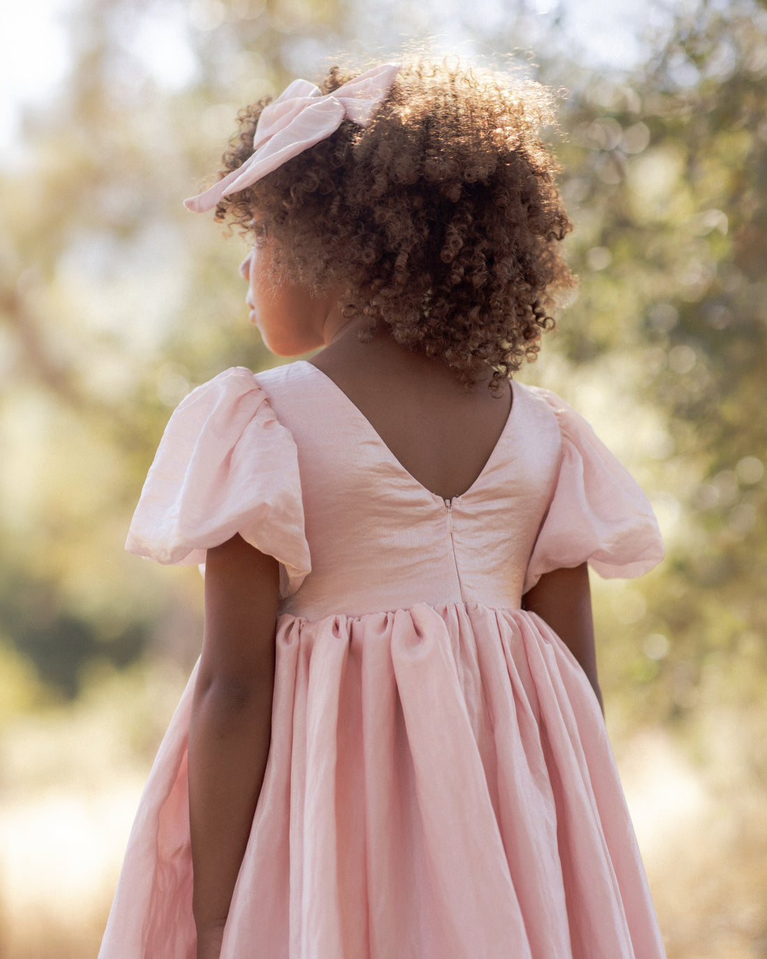 Noralee Sofia Dress - Rose Shimmer