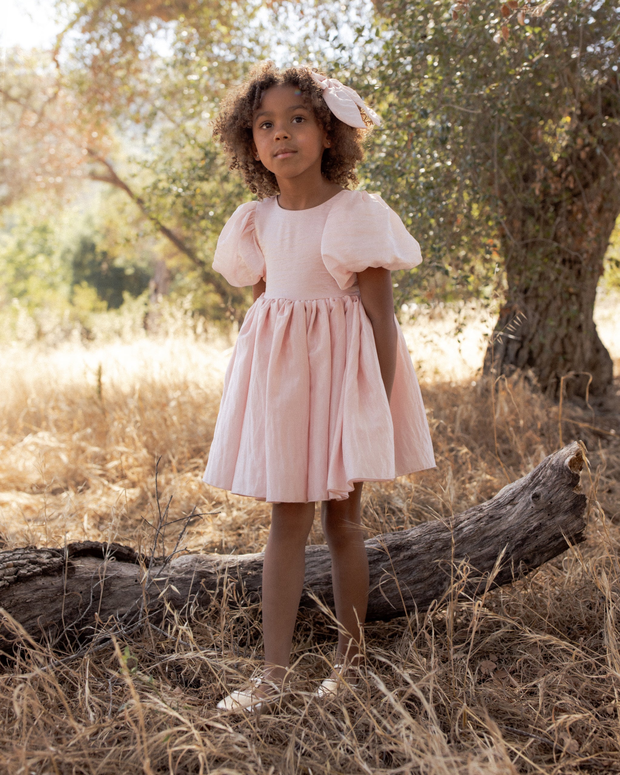 Noralee Sofia Dress - Rose Shimmer