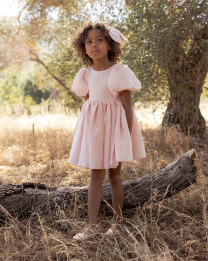 Noralee Sofia Dress - Rose Shimmer