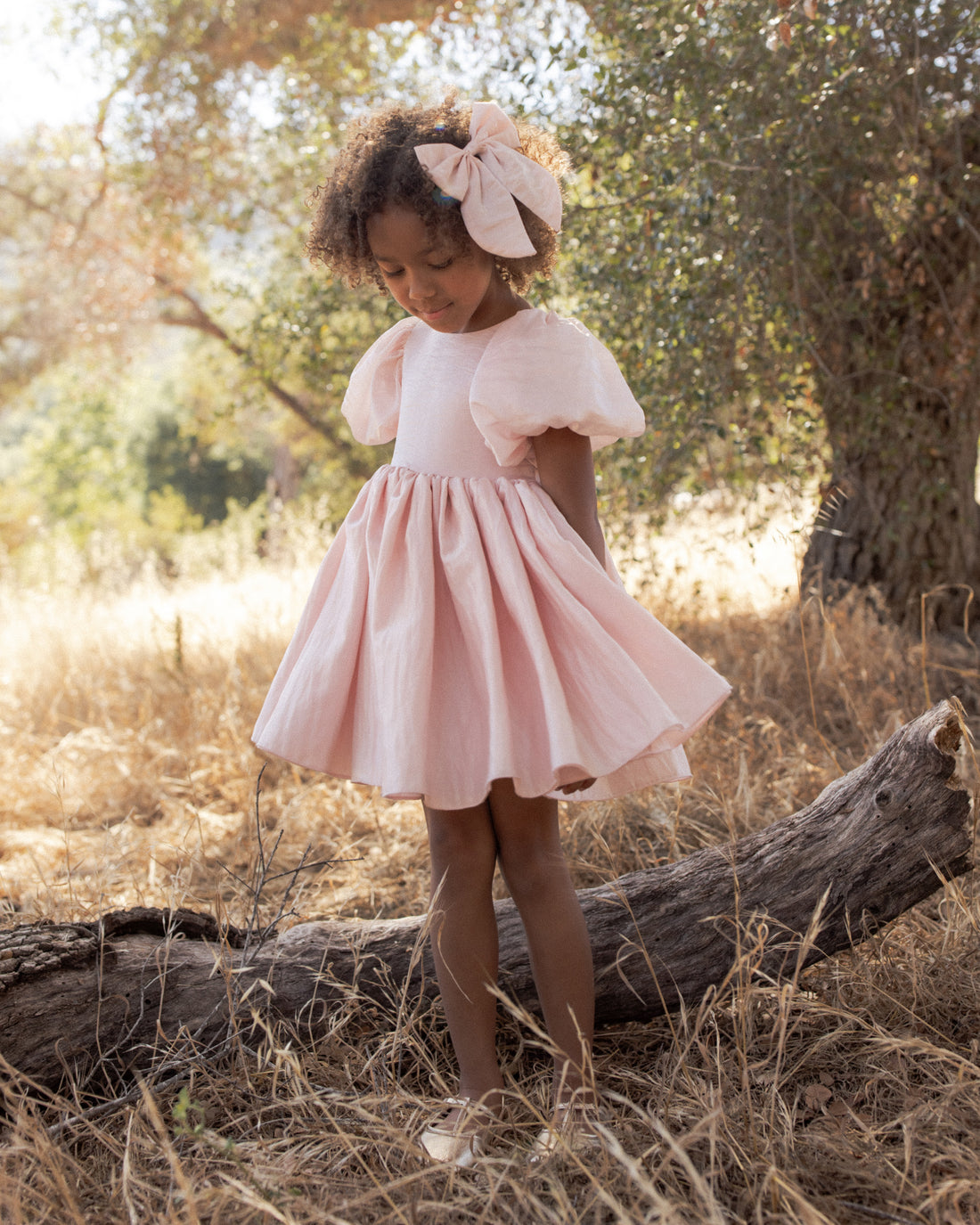 Noralee Everly Bow - Rose Shimmer
