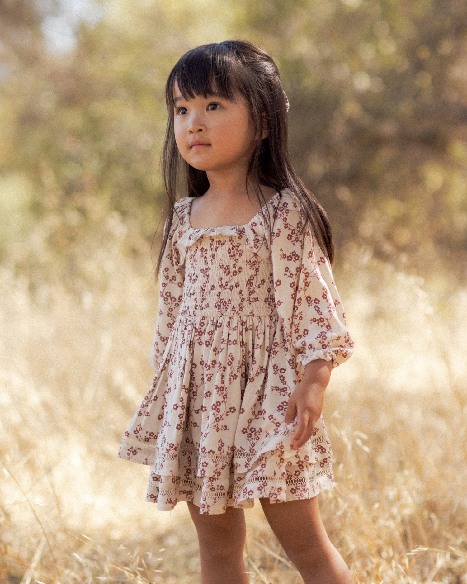 Noralee Elodie Dress - Floral Toile