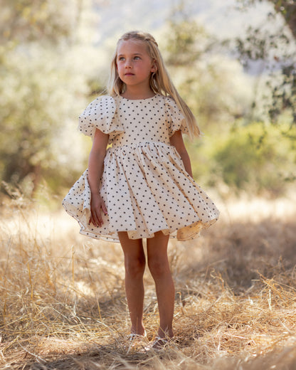 Noralee Sofia Dress - Black Daisy