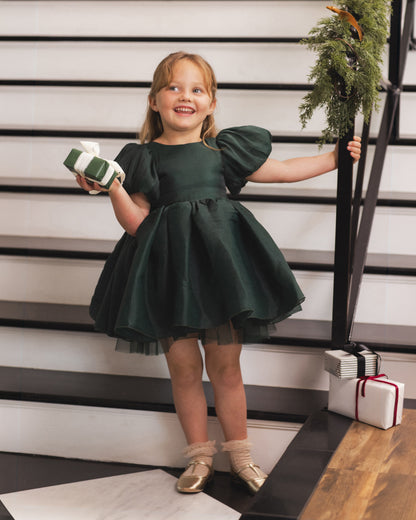 Noralee Sofia Dress - Green Shimmer