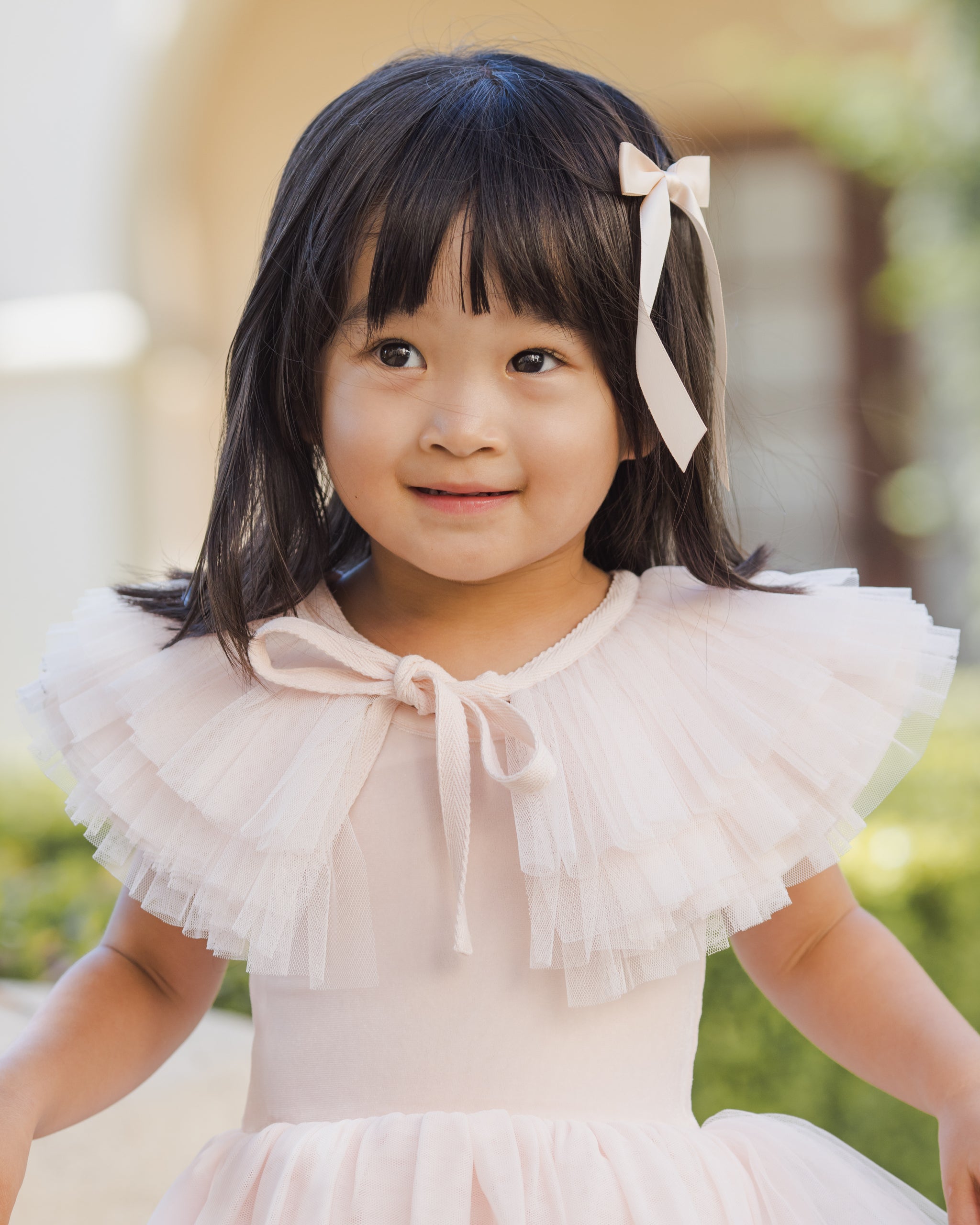 Noralee Ruffle Tulle Collar - Blush