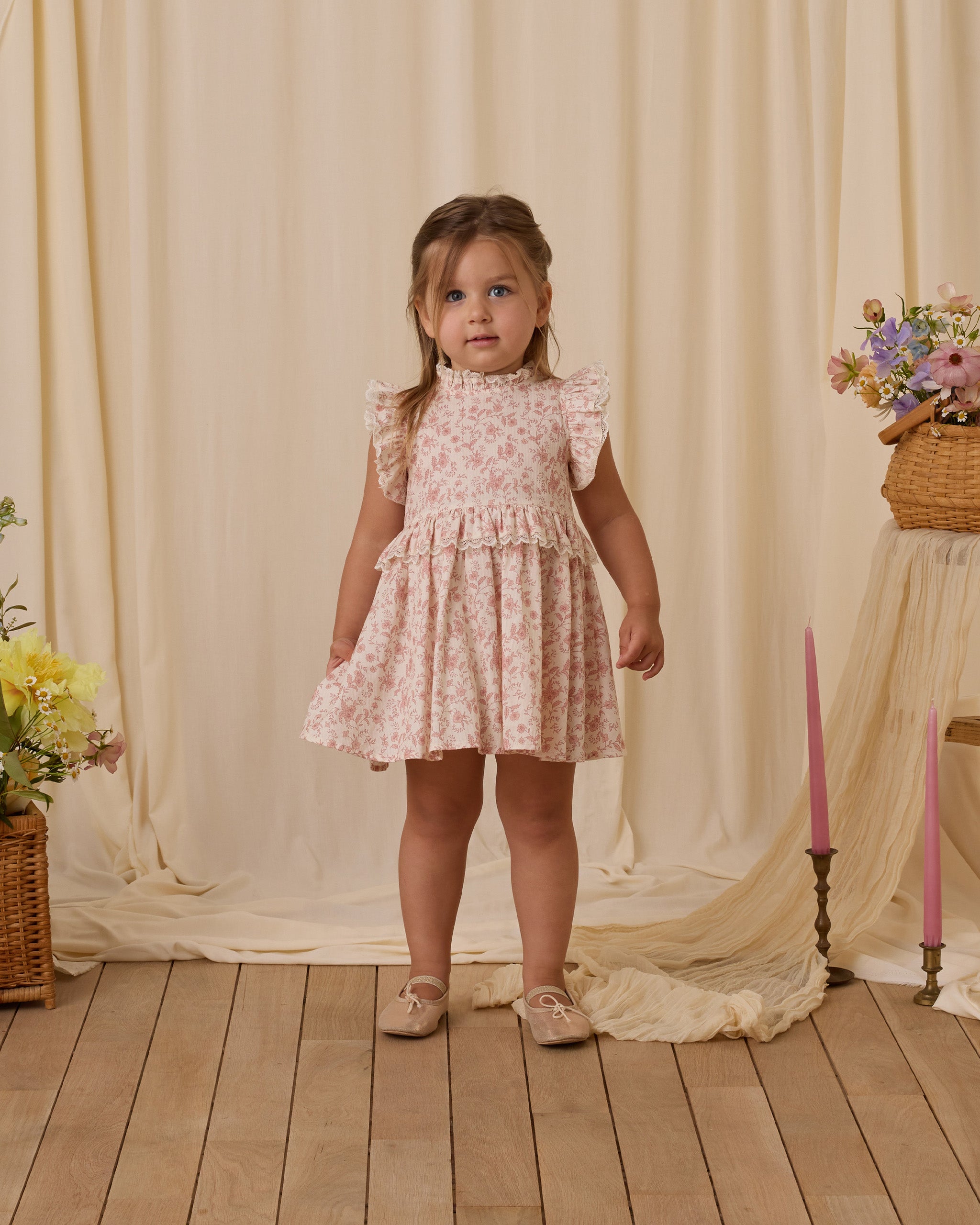 Noralee Alice Dress - Pink Toile
