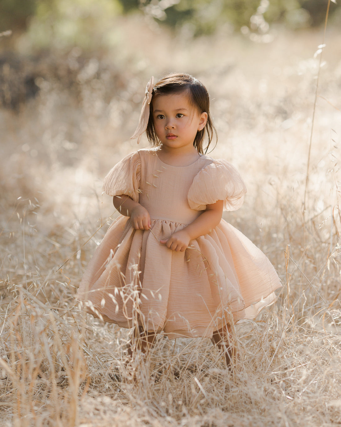 Noralee Sofia Dress - Blush