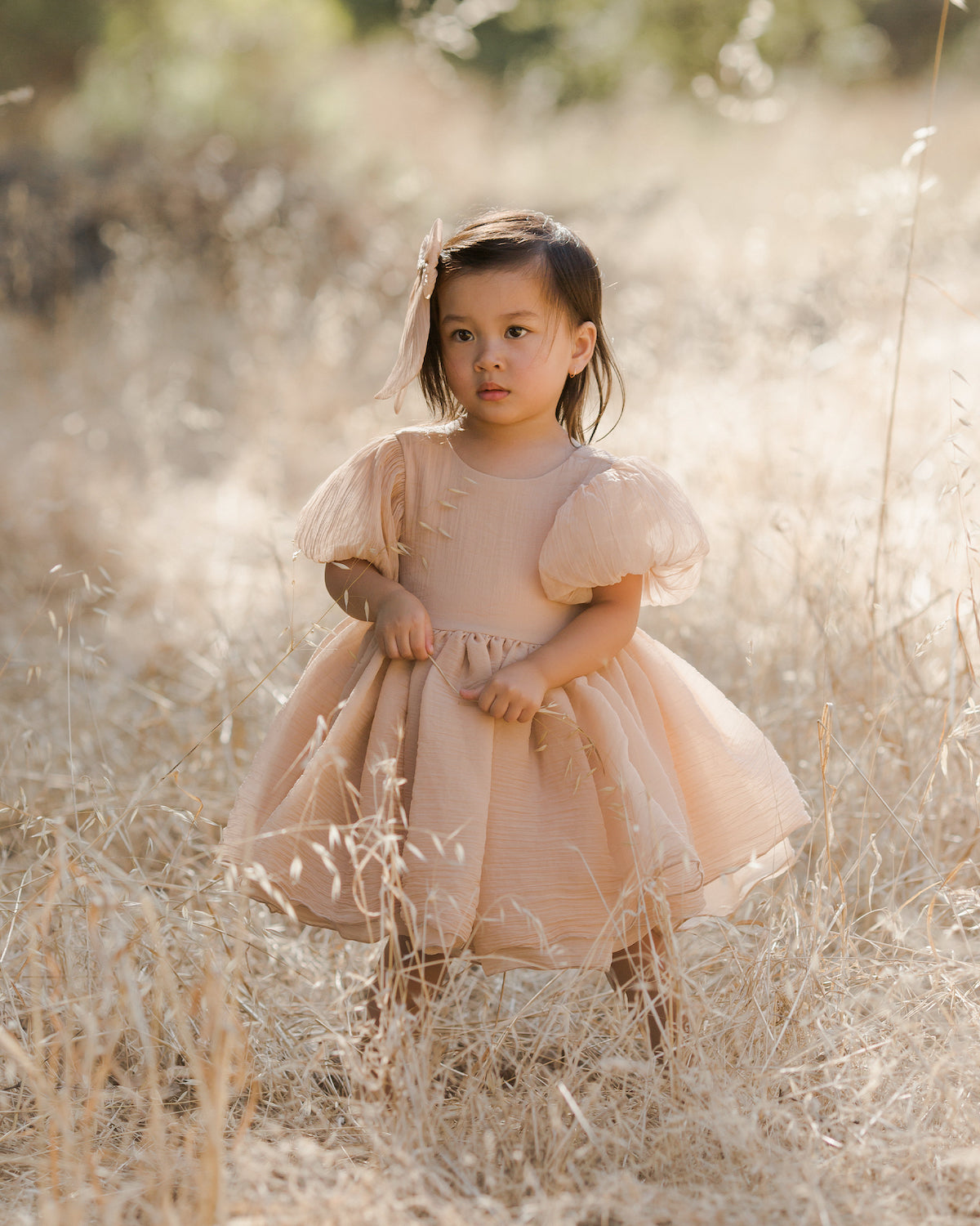 Noralee Sofia Dress - Blush