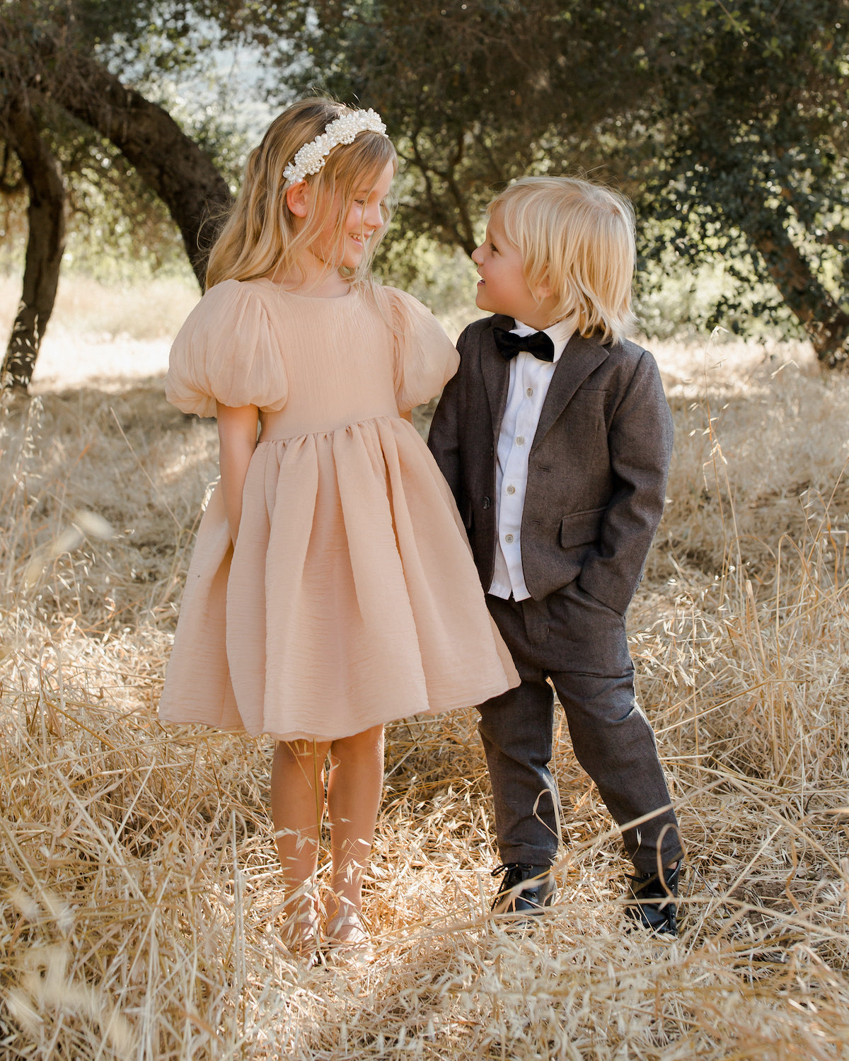 Noralee Sofia Dress - Blush