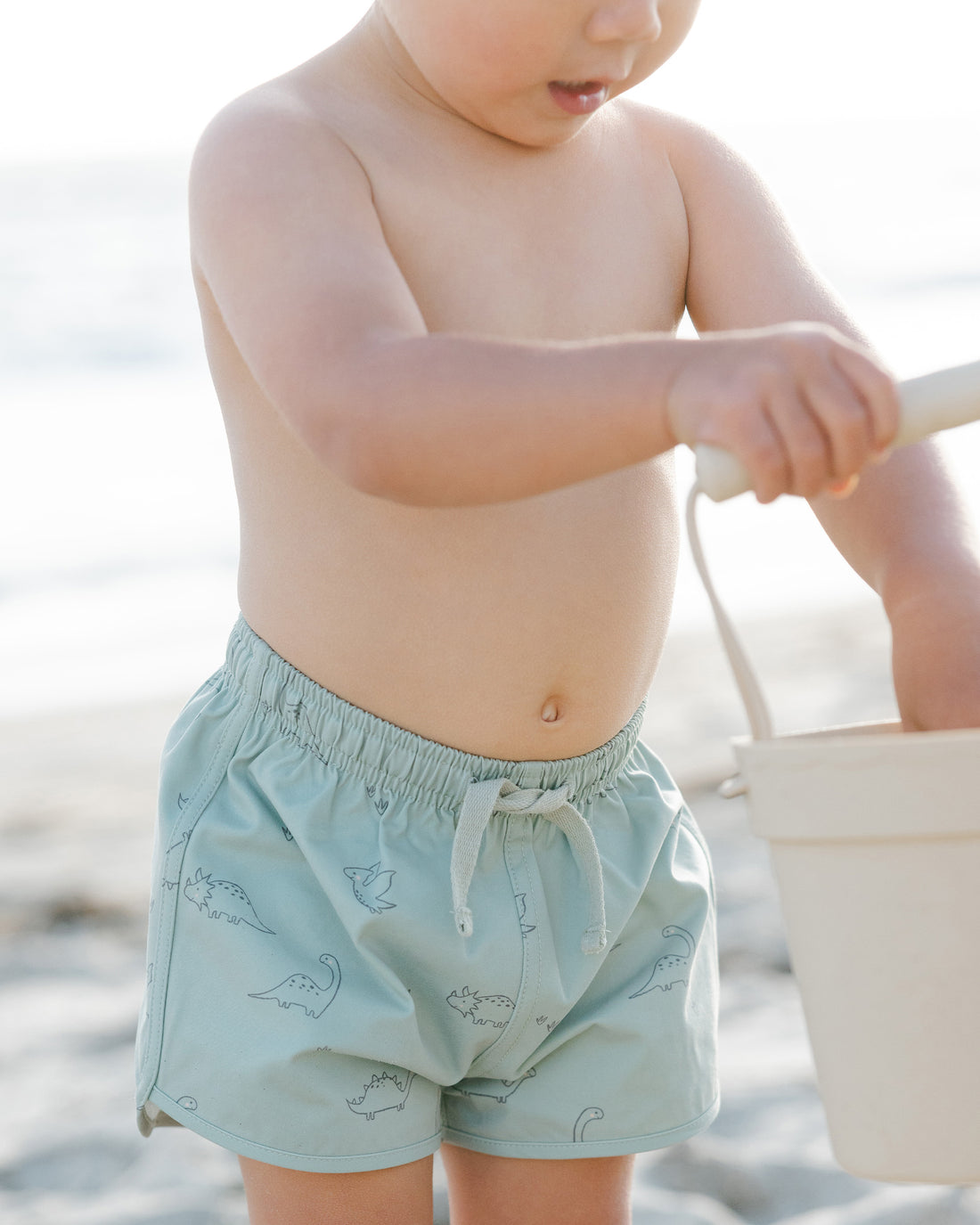 Quincy Mae Boys Swim Short - Dino