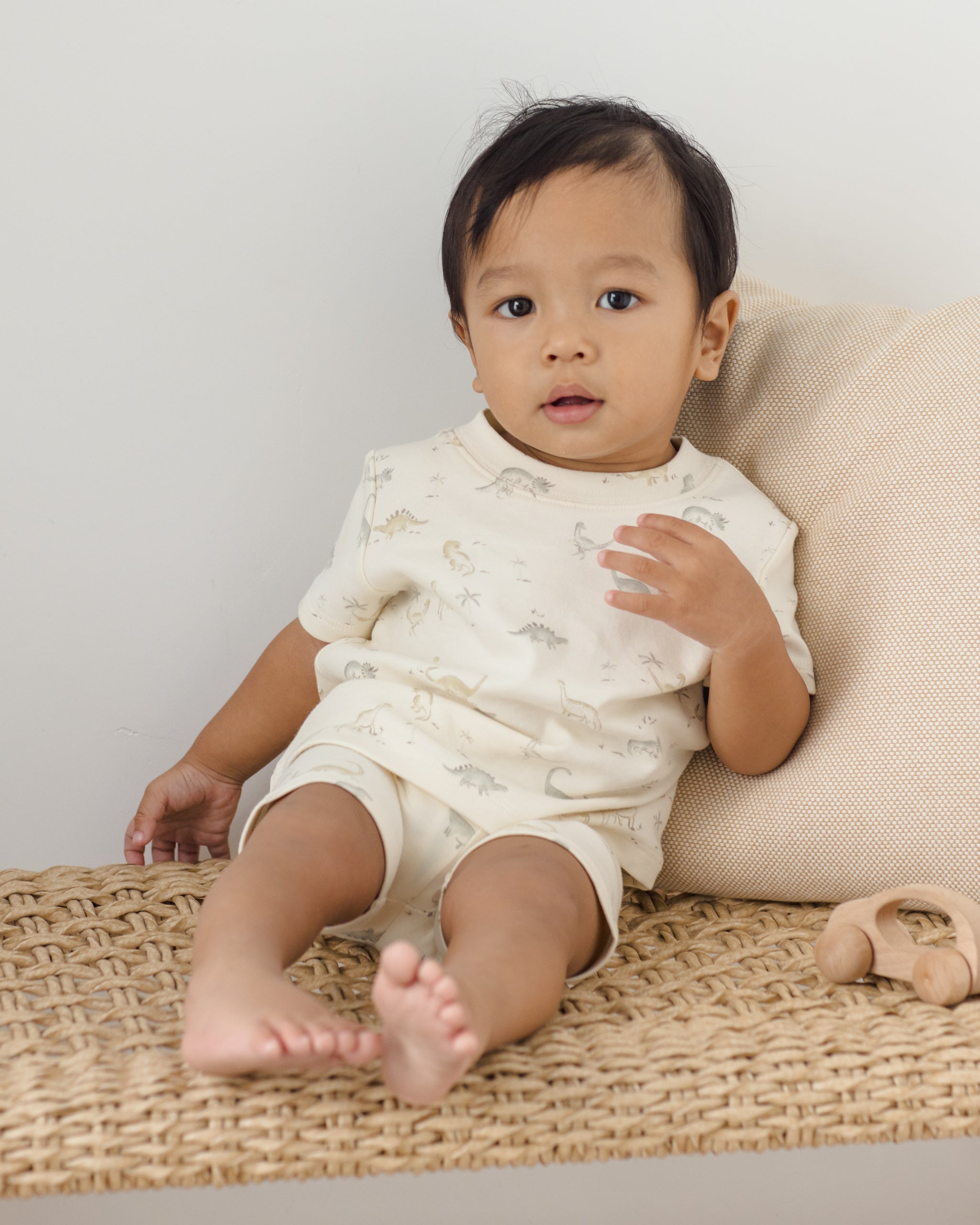 Quincy Mae Summer Pajama Set - Dinosaur