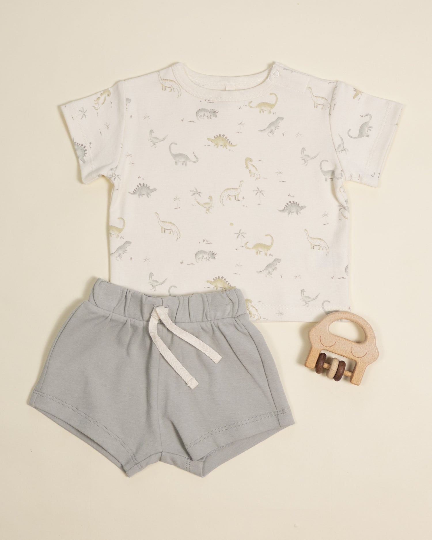 Quincy Mae Boxy Tee - Dinosaur