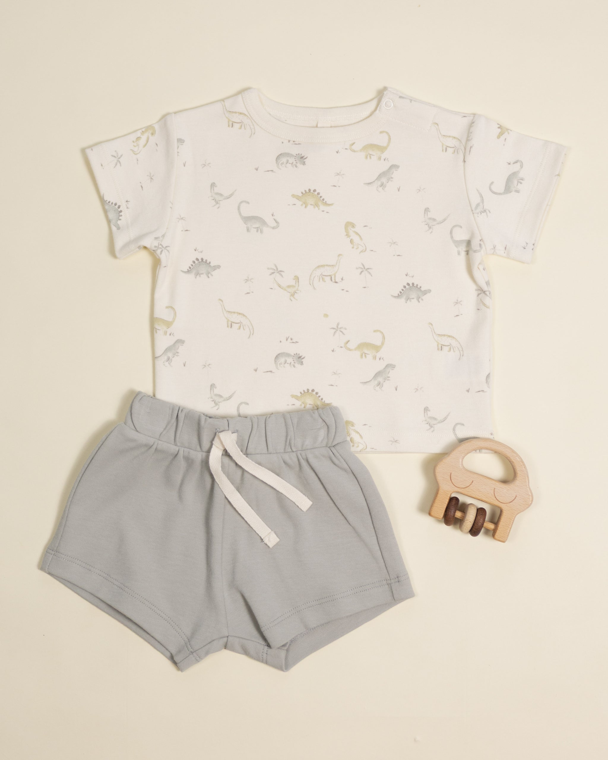 Quincy Mae Boxy Tee - Dinosaur
