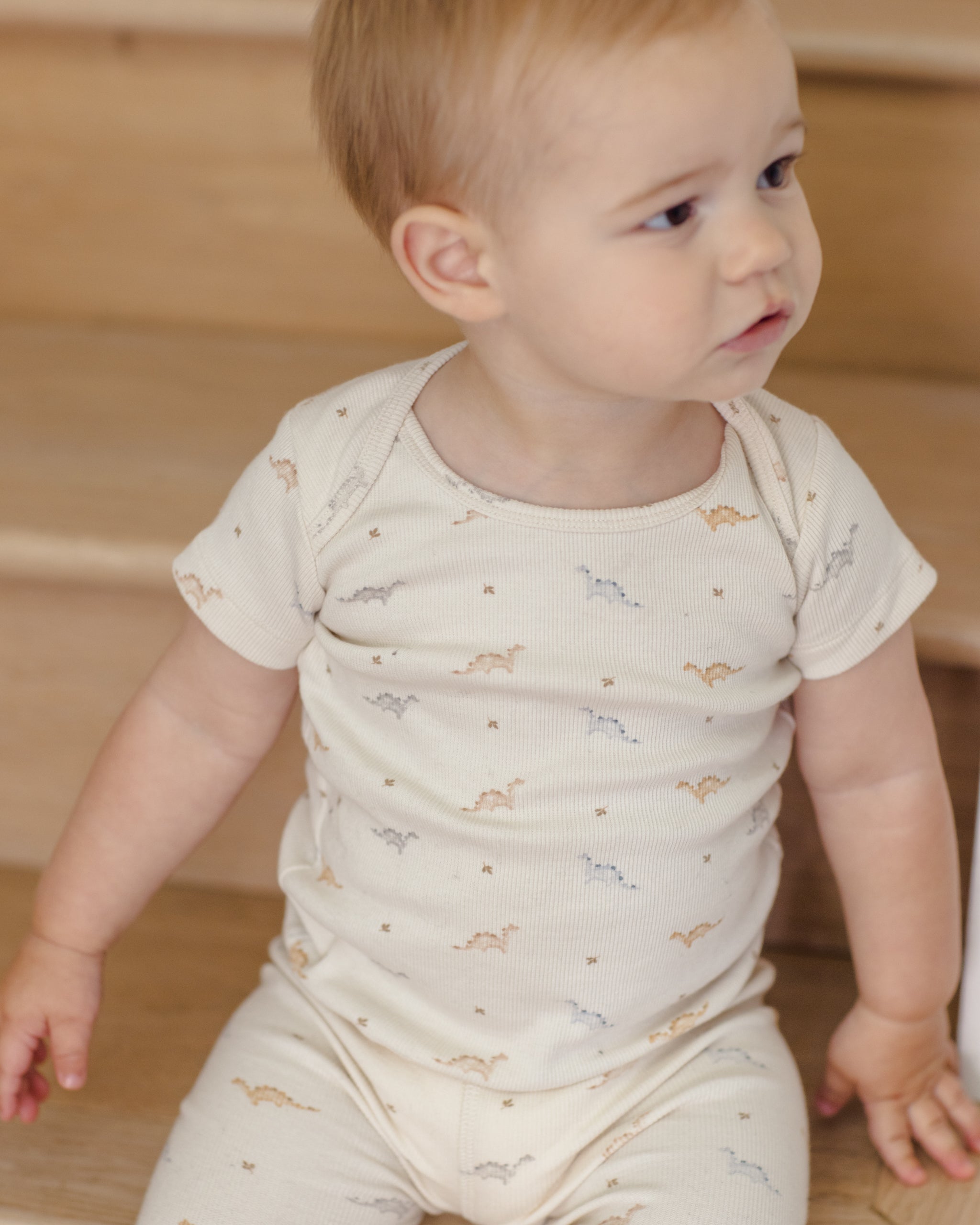 Quincy Mae Ribbed Short Sleeve Tee + Legging Set - Dinos