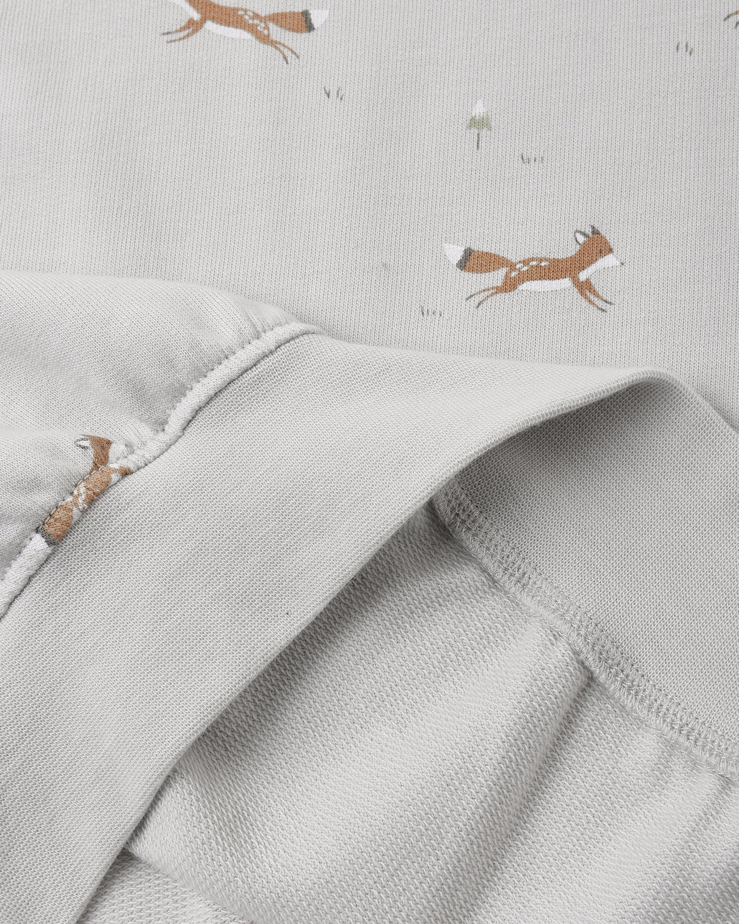 Rylee + Cru Relaxed Sweatshirt - Foxes