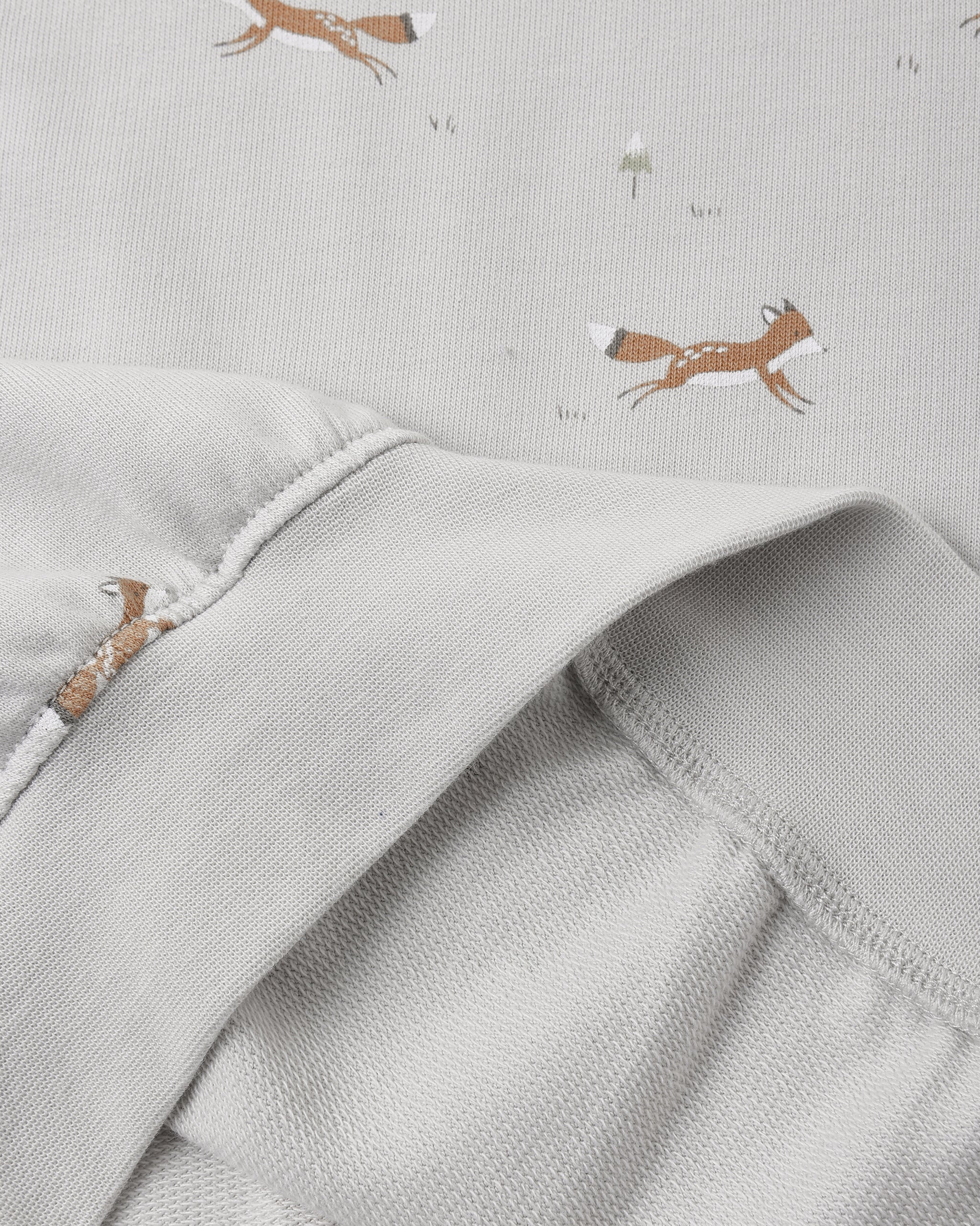 Rylee + Cru Relaxed Sweatshirt - Foxes