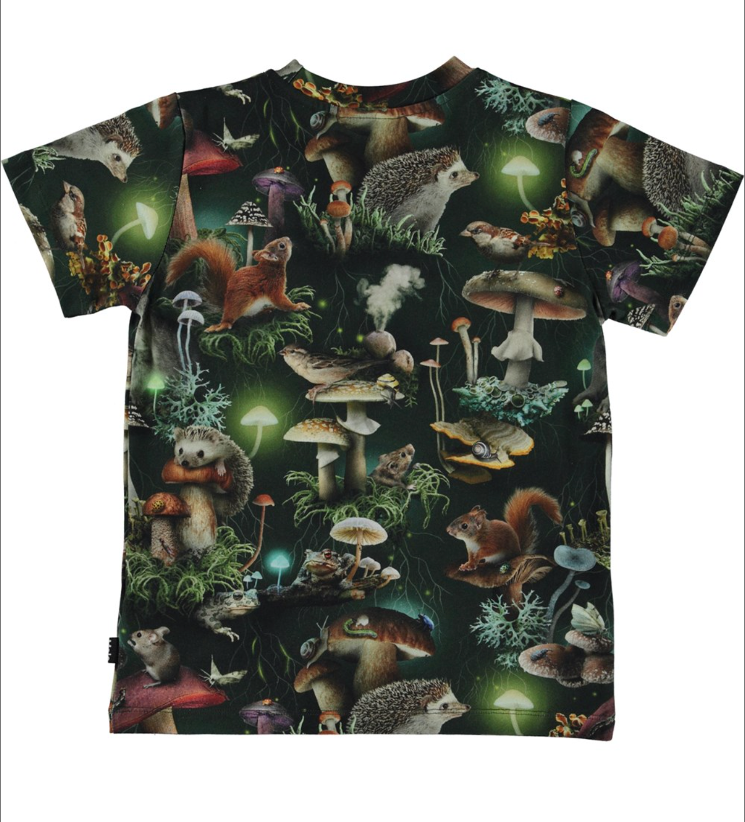 Molo Ralphie Tshirt - Fungi Life