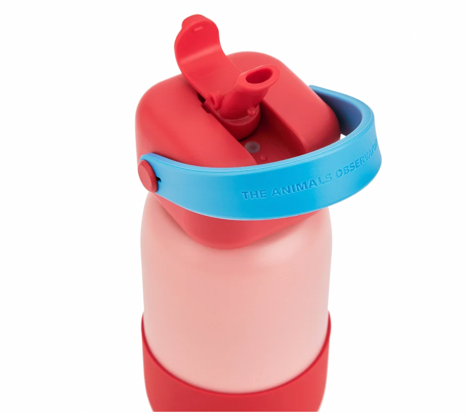 The Animals Observatory Sunnies Bottle - Red / Snapper