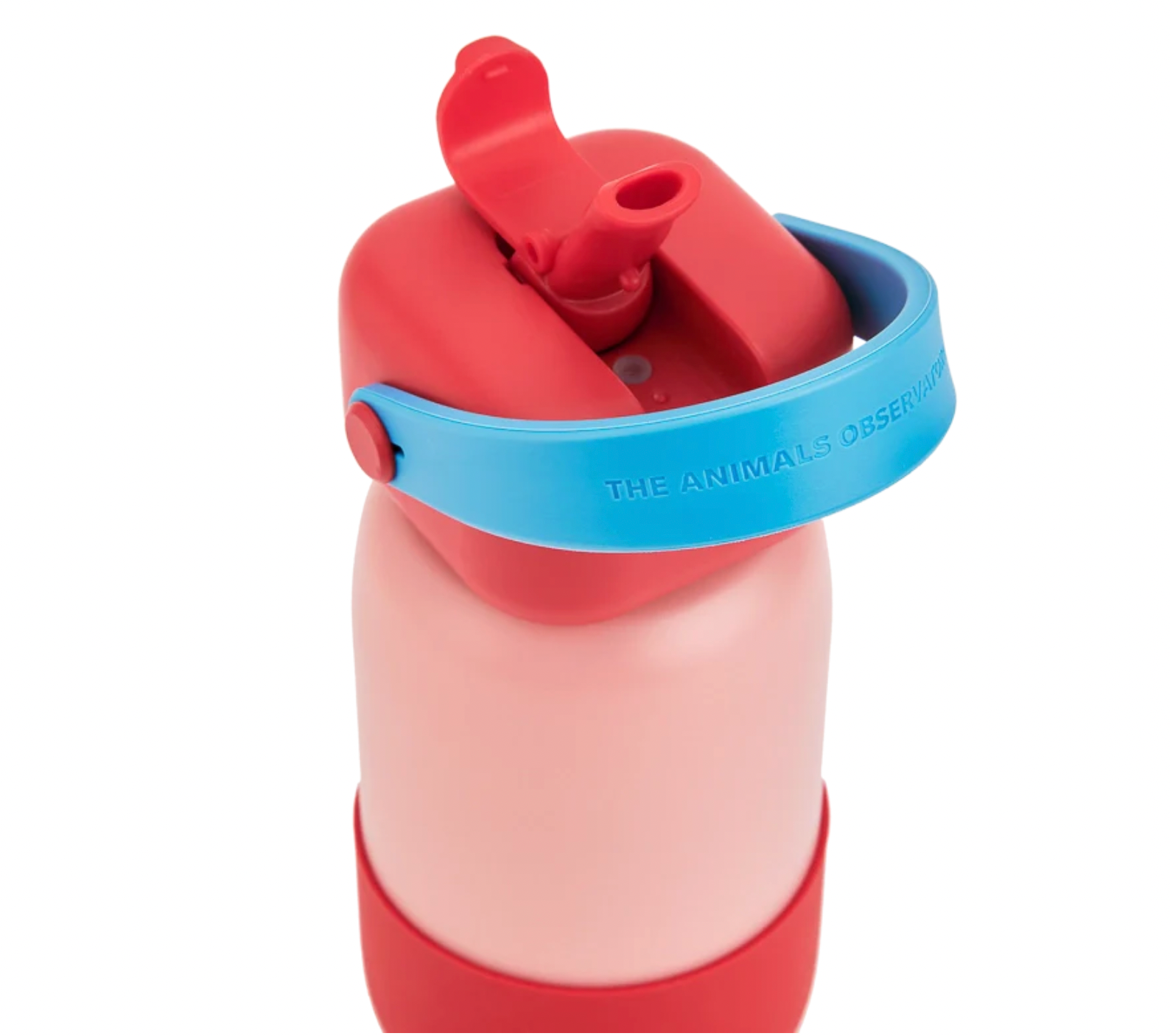 The Animals Observatory Sunnies Bottle - Red / Snapper
