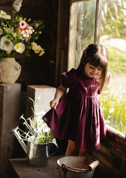 Jamie Kay Frannie Dress - Fig