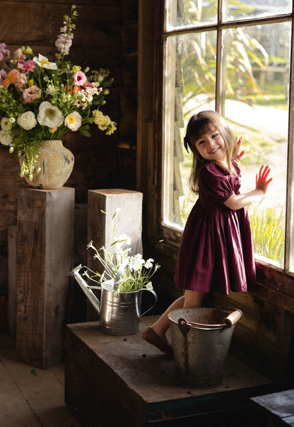 Jamie Kay Frannie Dress - Fig
