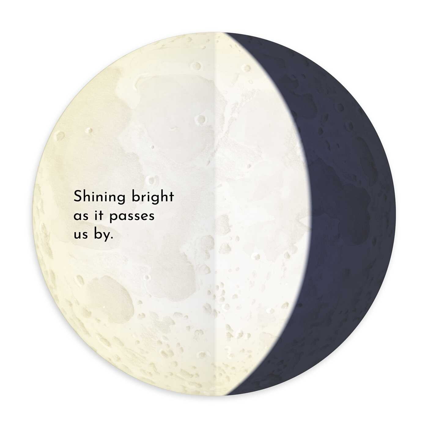 Our Friend Moon Book
