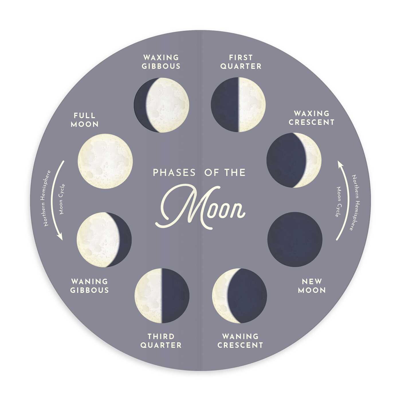 Our Friend Moon Book