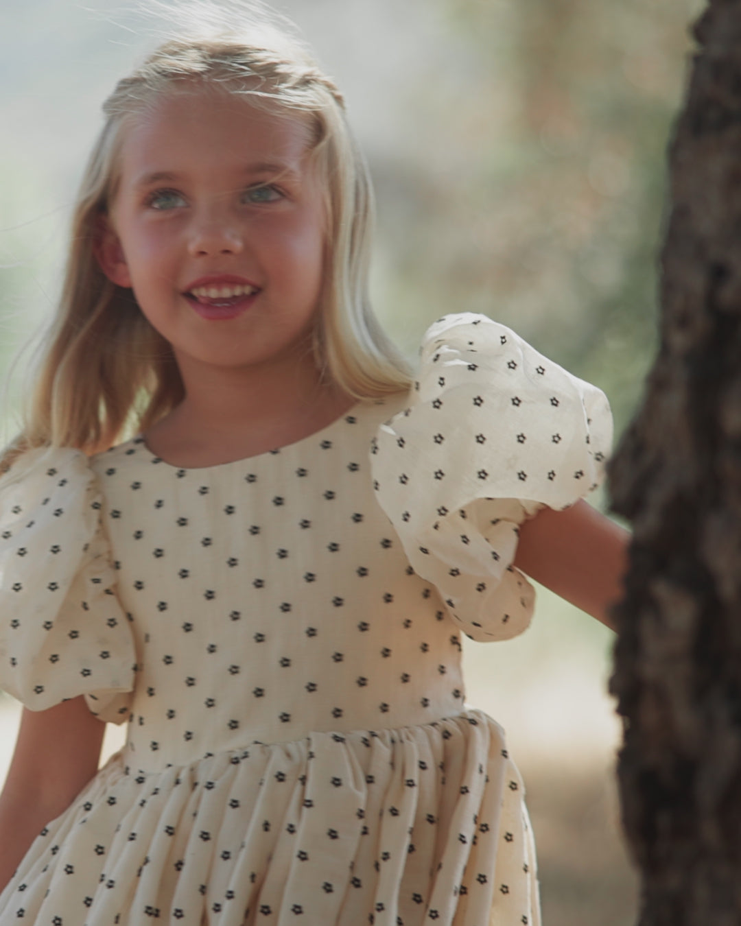 Noralee Sofia Dress - Black Daisy