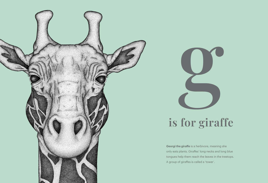 The Animal Alphabet Book