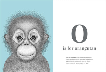 The Animal Alphabet Book