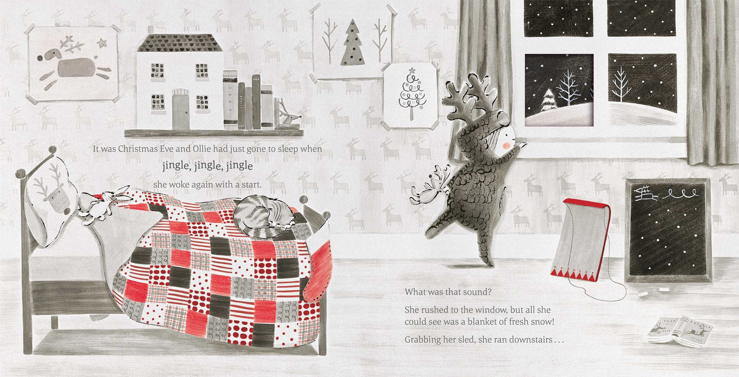 The Little Reindeer Book
