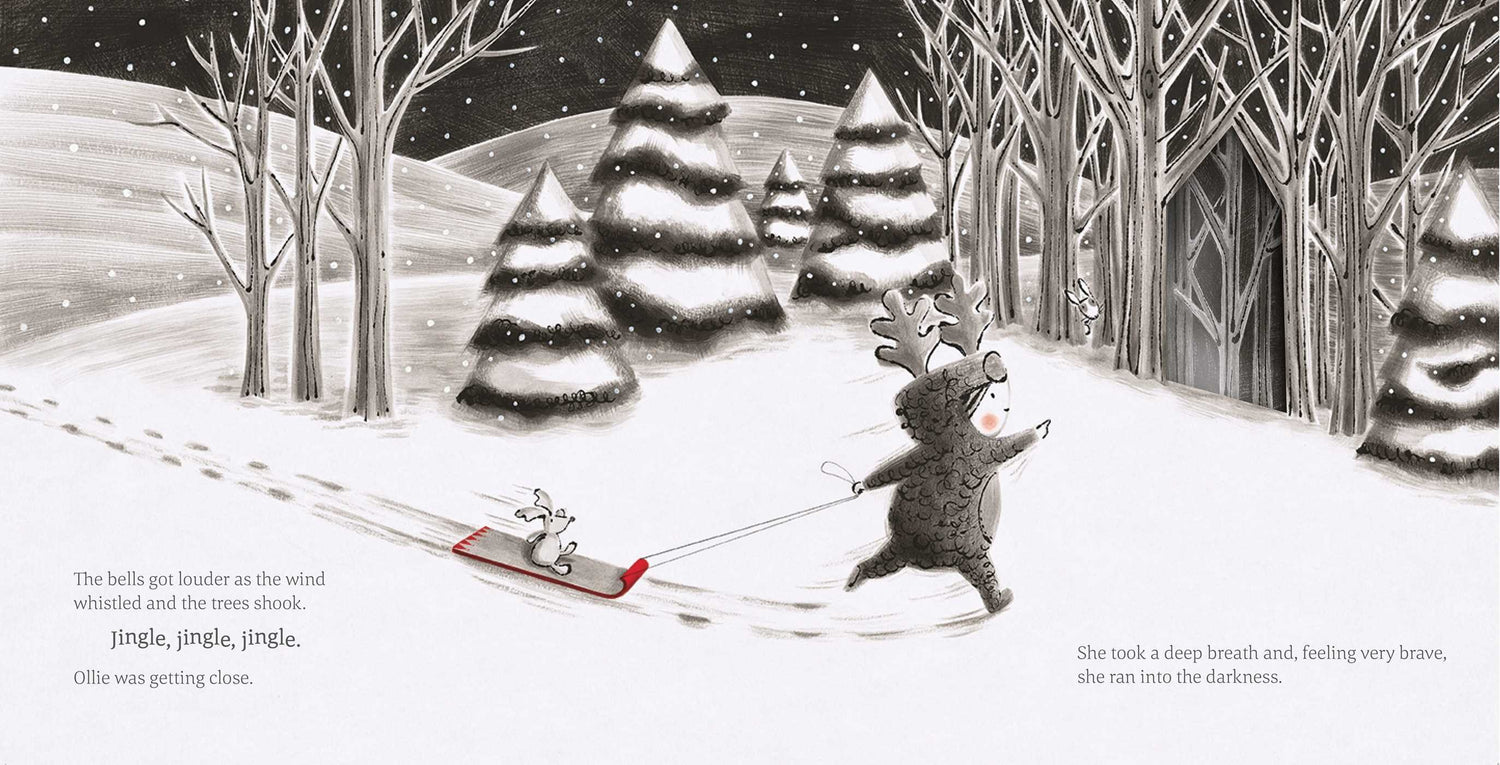 The Little Reindeer Book