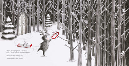 The Little Reindeer Book