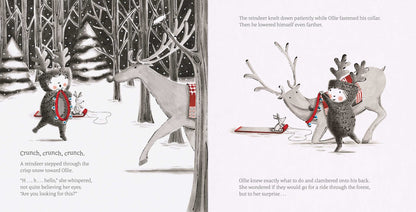 The Little Reindeer Book