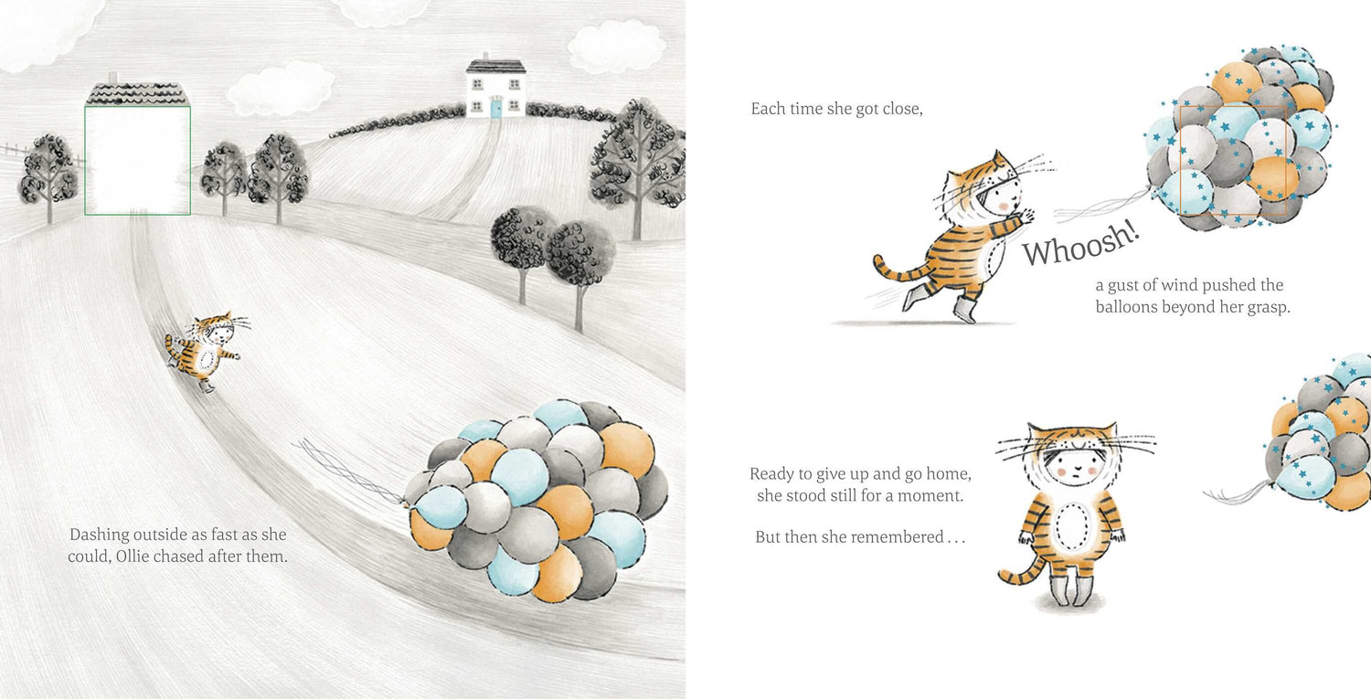 The Little Tiger Book - Birthday