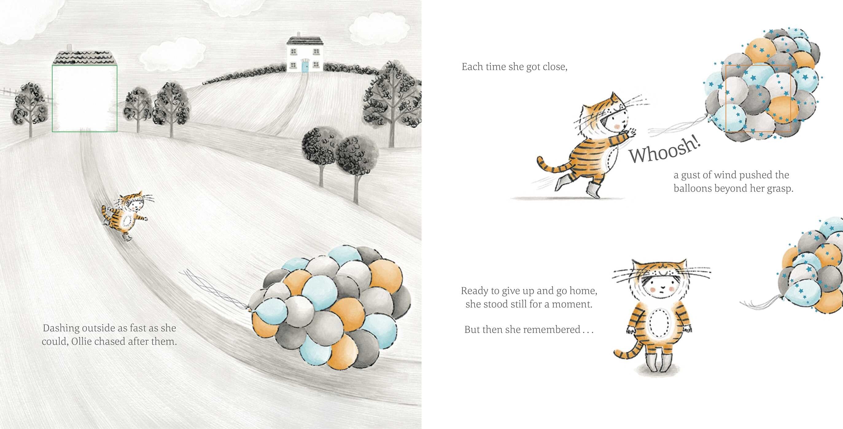 The Little Tiger Book - Birthday